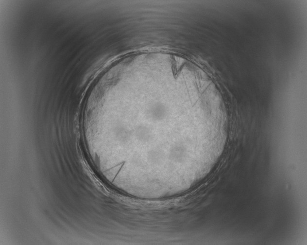 X0000080700002200701121803