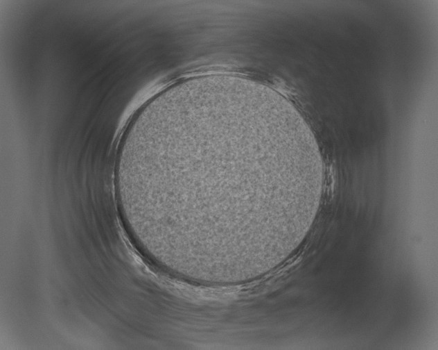 X0000080700004200701121803