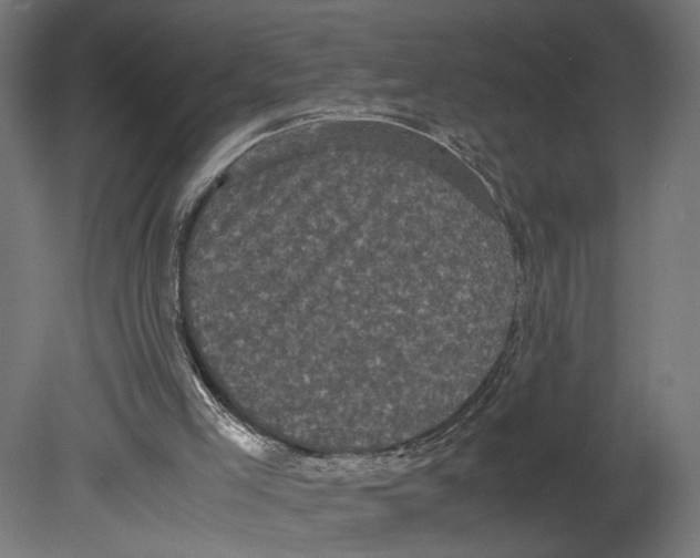 X0000080700005200701121803