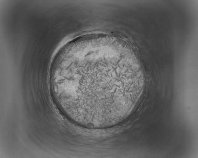 X0000080700006200701121803