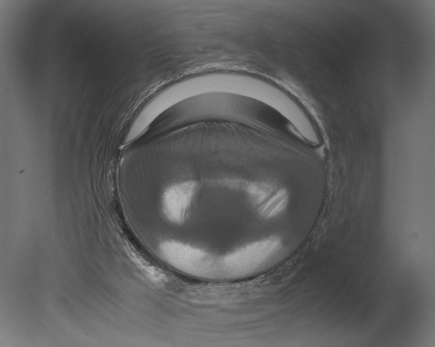 X0000080700009200701121803