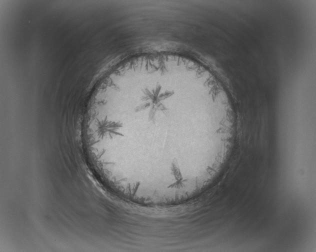 X0000080700010200701121803