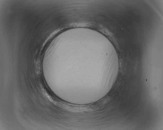 X0000080700012200701121803