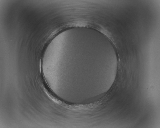 X0000080700013200701121803