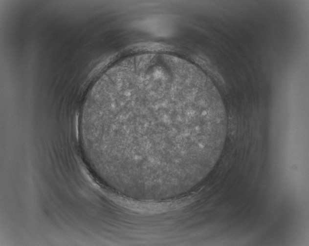 X0000080700014200701121803