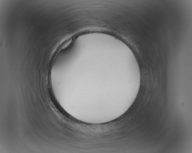 X0000080700015200701121803