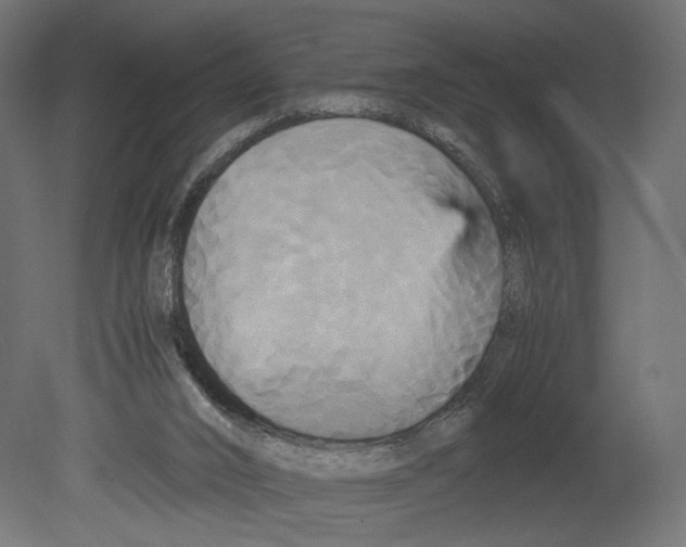 X0000080700016200701121803