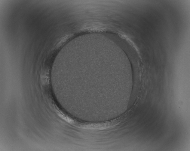 X0000080700017200701121803