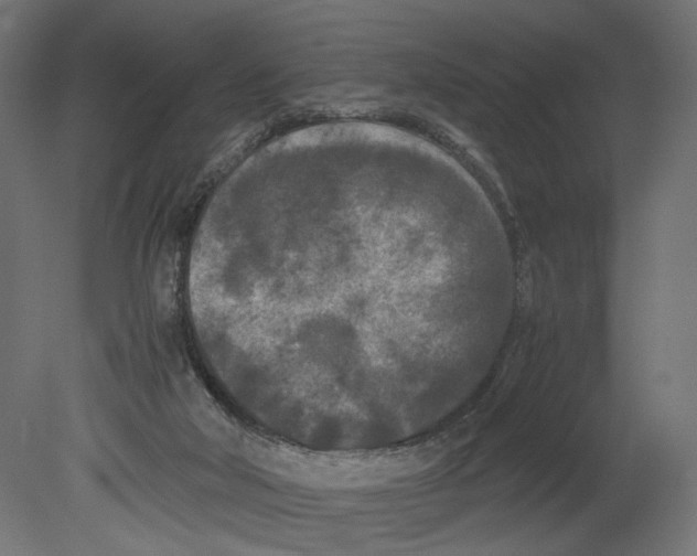 X0000080700018200701121803