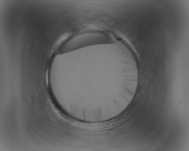 X0000080700019200701121803