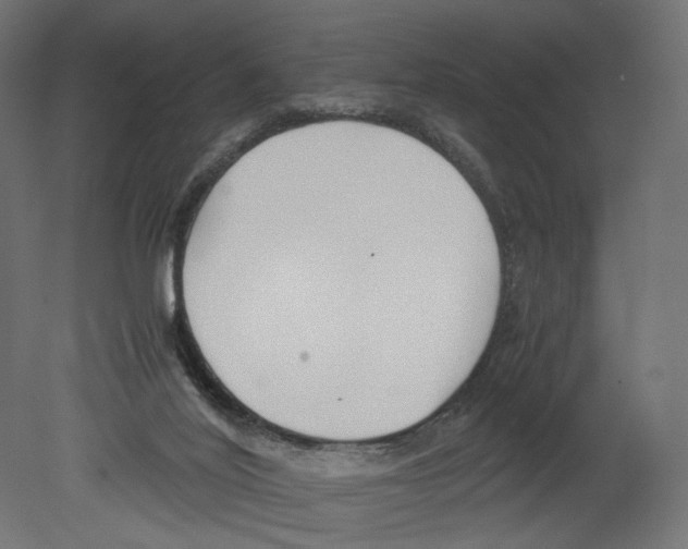 X0000080700020200701121803