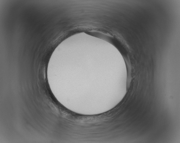 X0000080700021200701121803