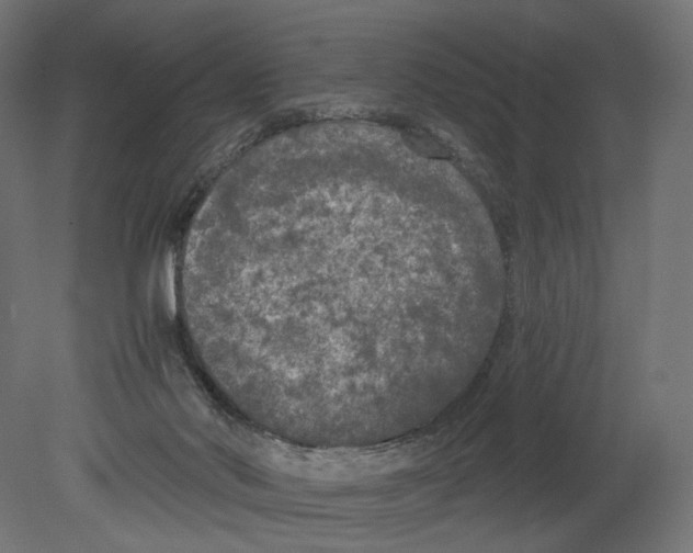 X0000080700022200701121803