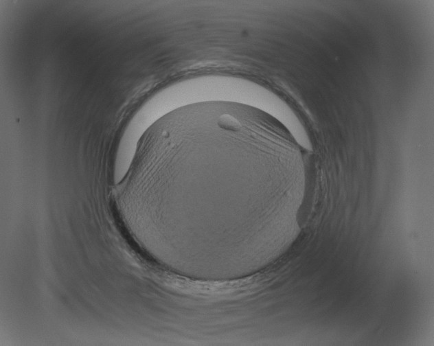 X0000080700023200701121803