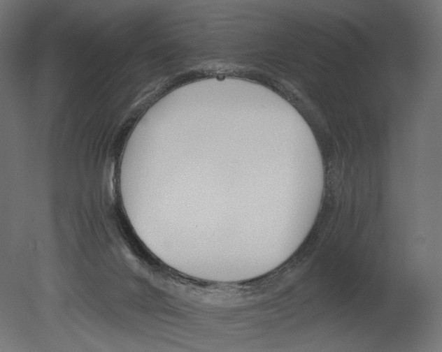 X0000080700024200701121803