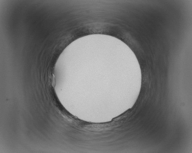 X0000080700025200701121803