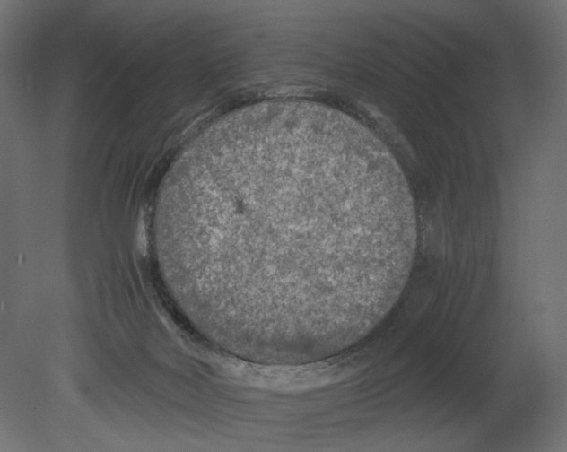 X0000080700026200701121803