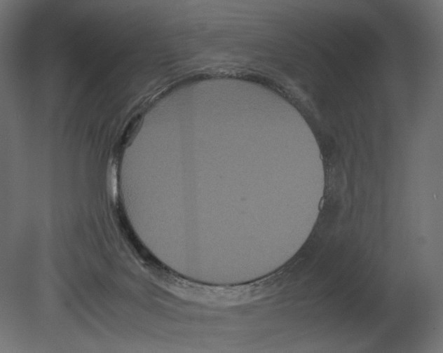 X0000080700027200701121803