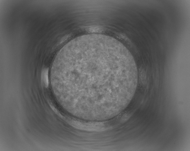 X0000080700028200701121803