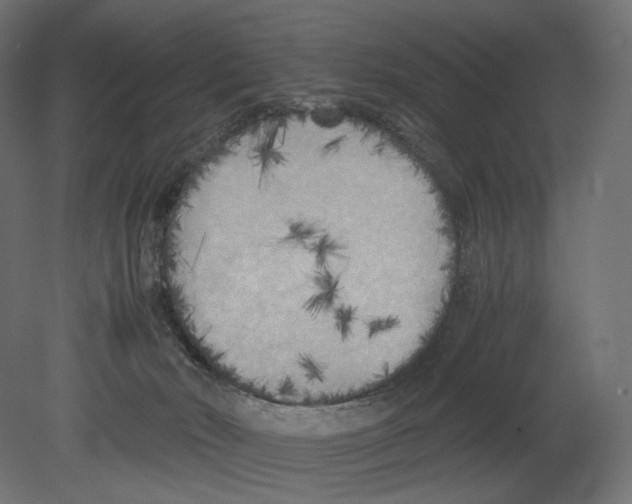 X0000080700030200701121803