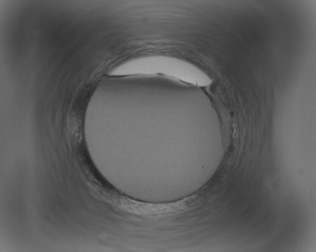 X0000080700031200701121803