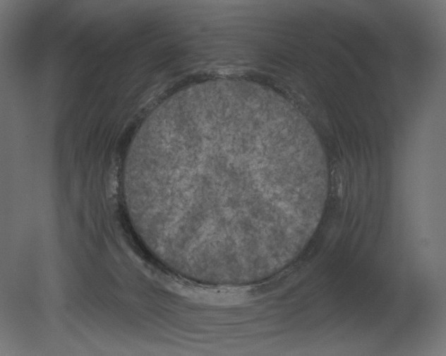 X0000080700032200701121803