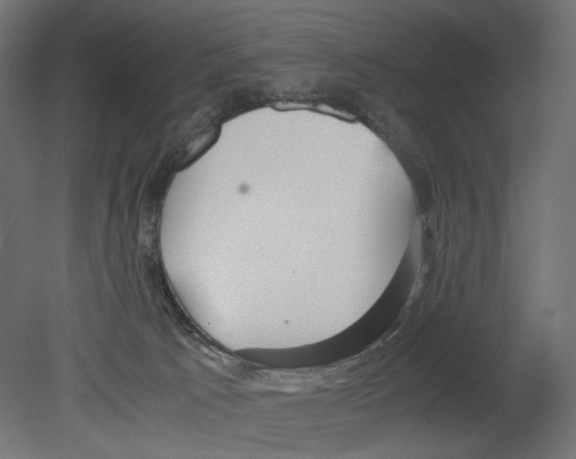 X0000080700033200701121803