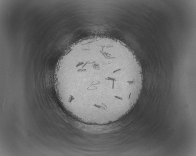 X0000080700034200701121803