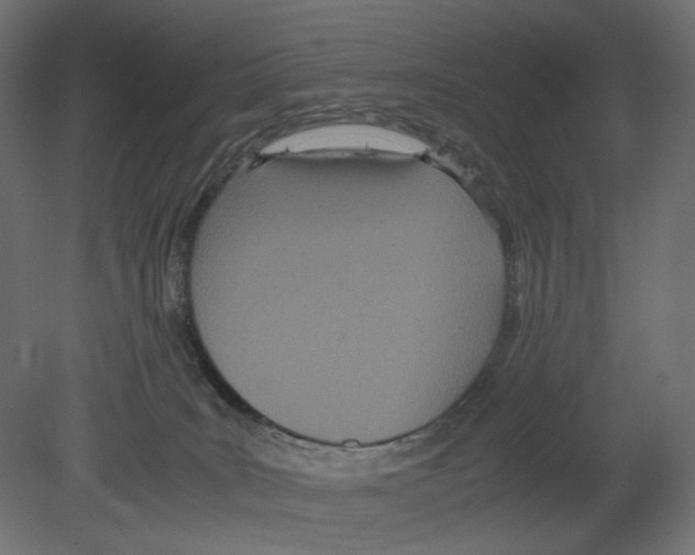 X0000080700035200701121803