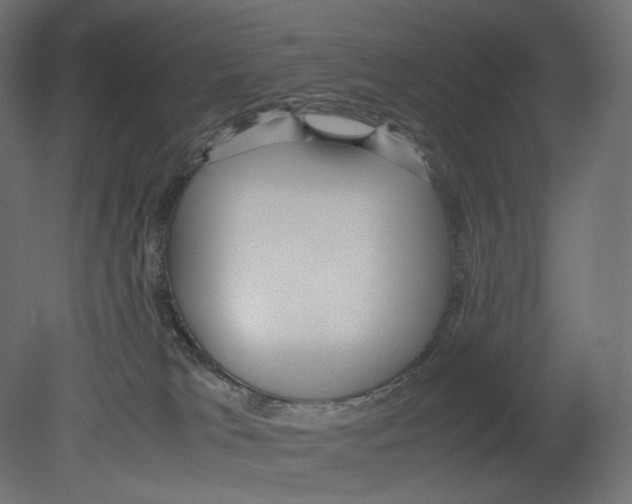 X0000080700037200701121803