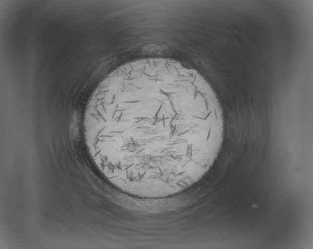 X0000080700038200701121803