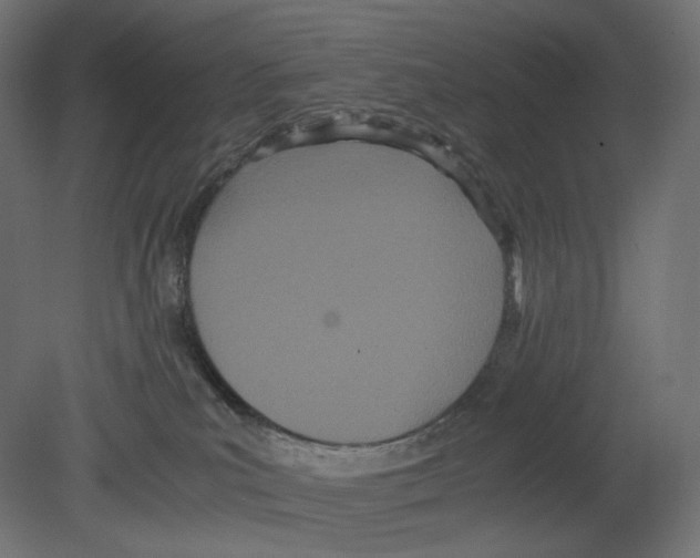 X0000080700039200701121803