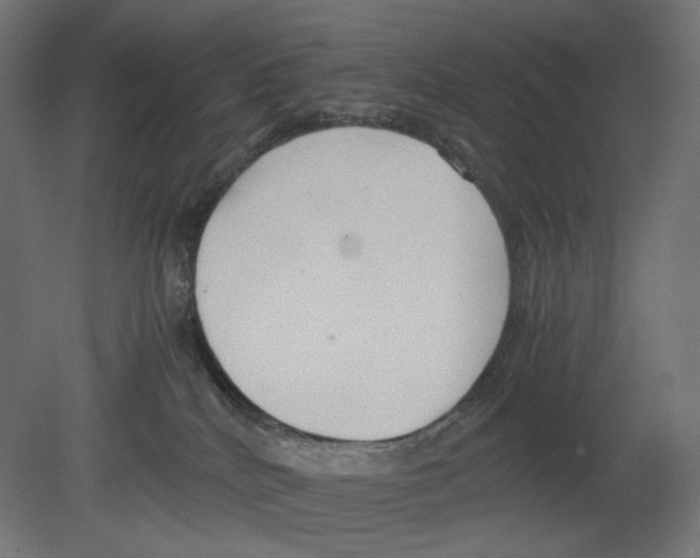 X0000080700040200701121803