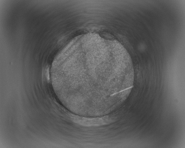 X0000080700042200701121803