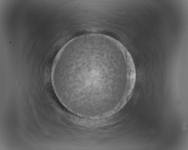 X0000080700043200701121803