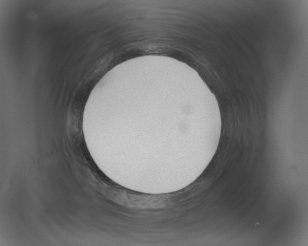 X0000080700044200701121803