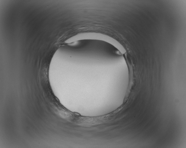 X0000080700045200701121803