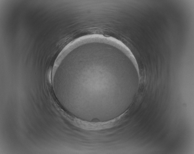 X0000080700047200701121803