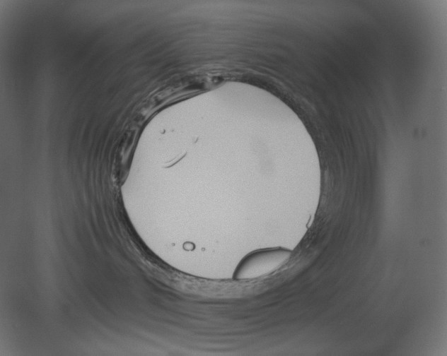 X0000080700048200701121803