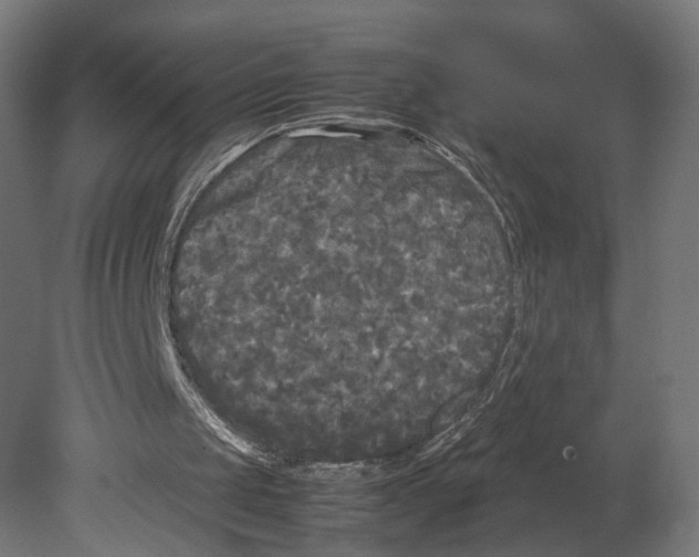 X0000080700049200701121802