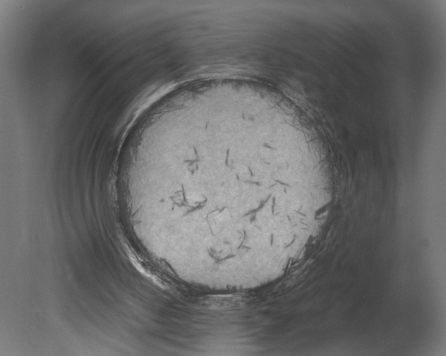 X0000080700050200701121802