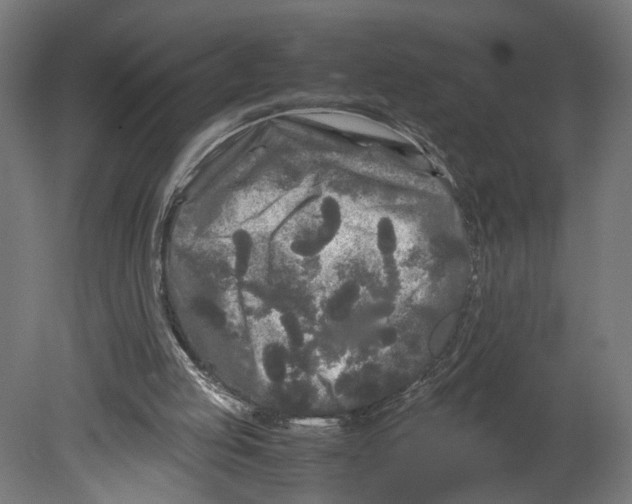 X0000080700053200701121802