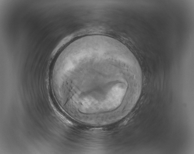 X0000080700054200701121802