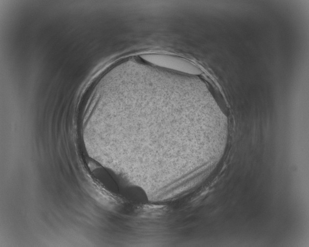 X0000080700055200701121802