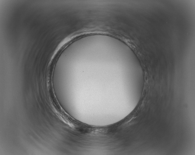 X0000080700056200701121802