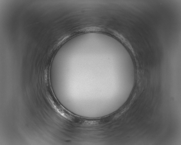 X0000080700057200701121802