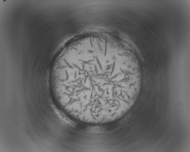 X0000080700058200701121802