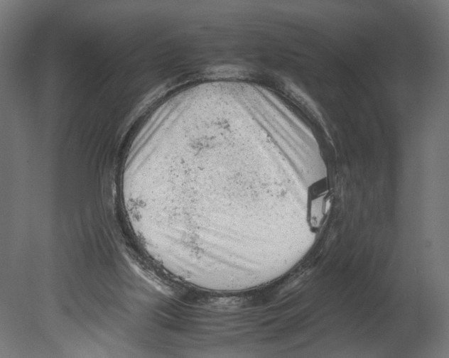 X0000080700059200701121802