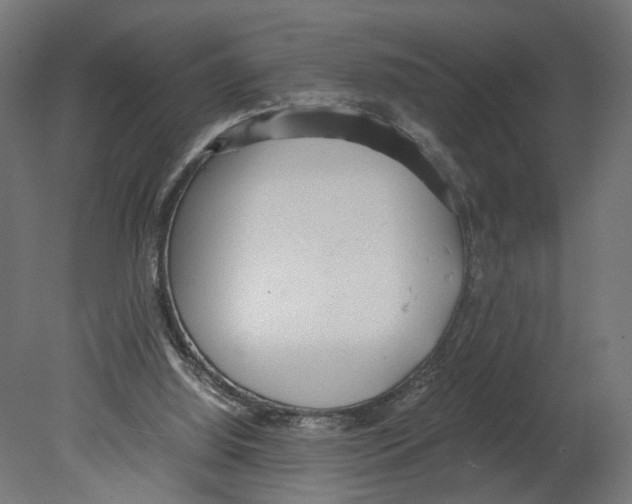 X0000080700060200701121802