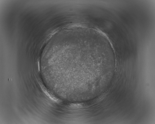 X0000080700061200701121802